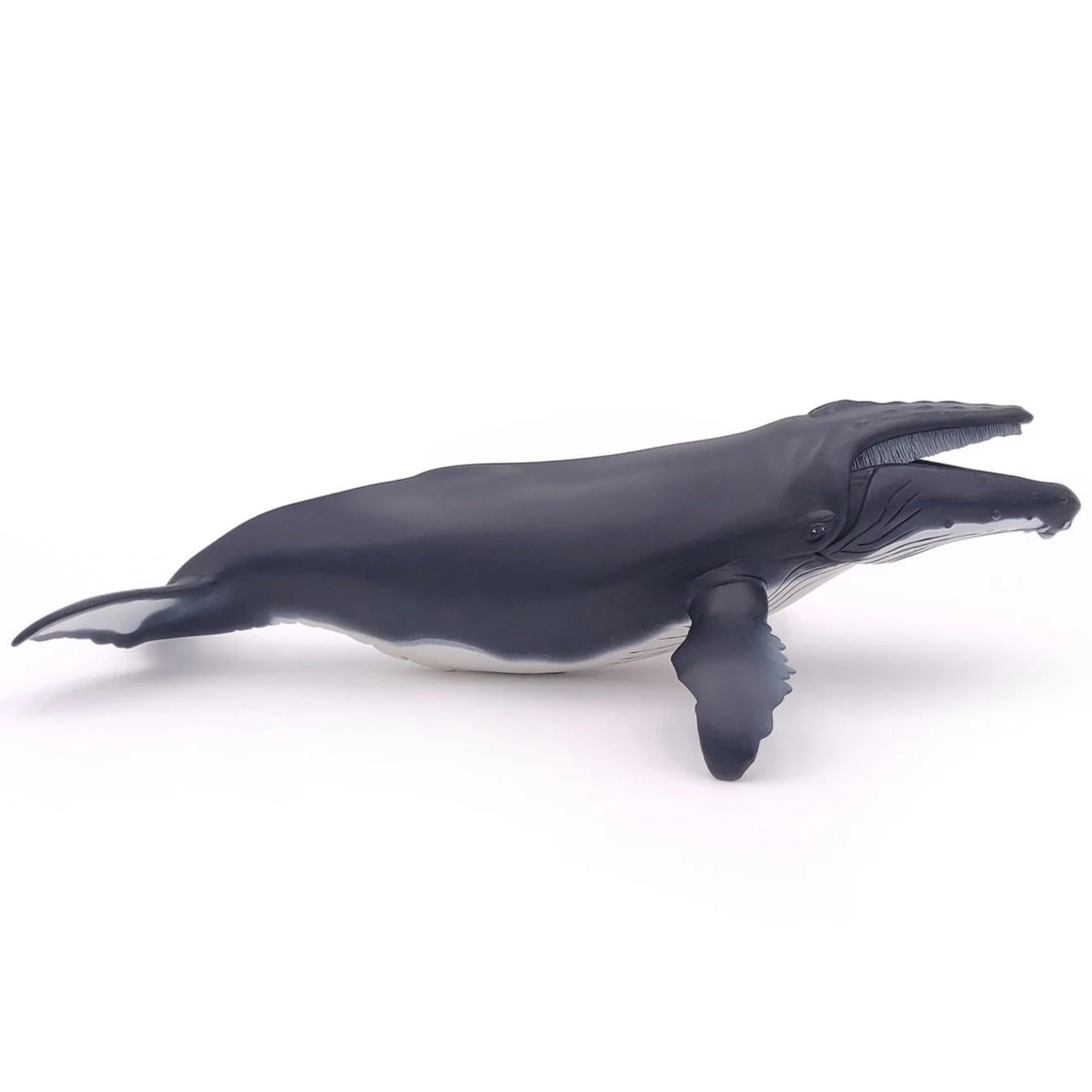 Bultrug Walvis