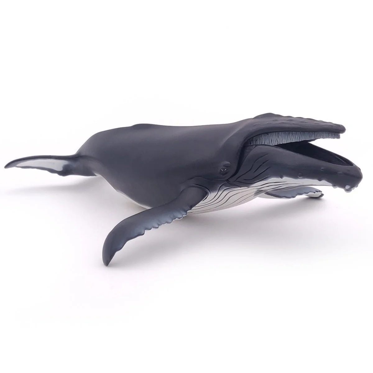 Bultrug Walvis - Image 3