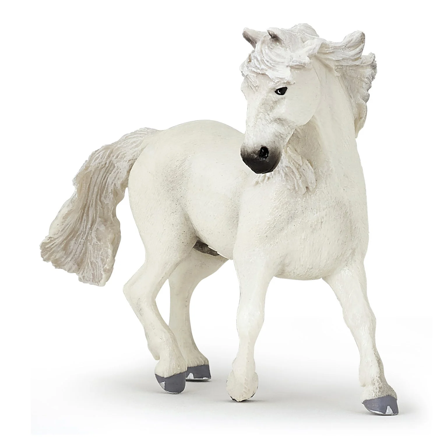 Camargue paard