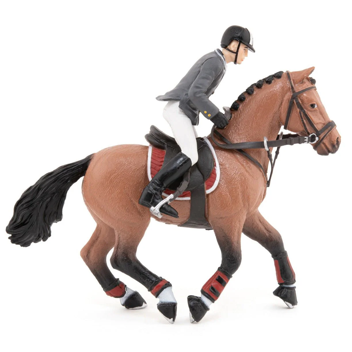 Wedstrijdpaard en zijn ruiter - Image 2