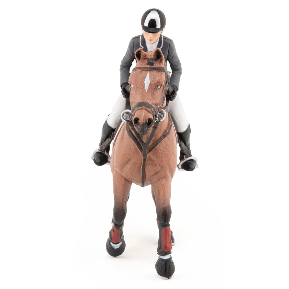 Wedstrijdpaard en zijn ruiter - Image 5