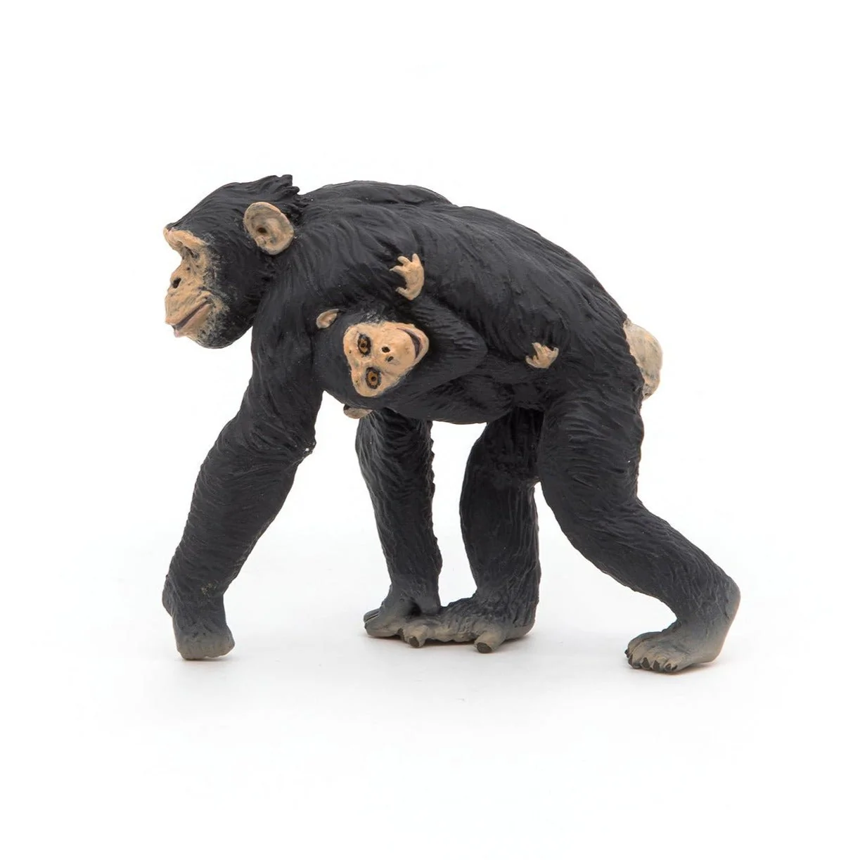 Chimpansee met haar baby - Image 2