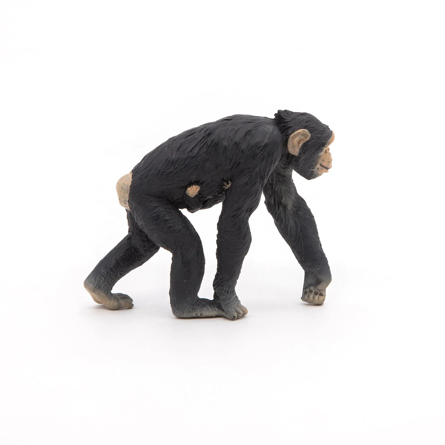 Chimpansee met haar baby - Image 3
