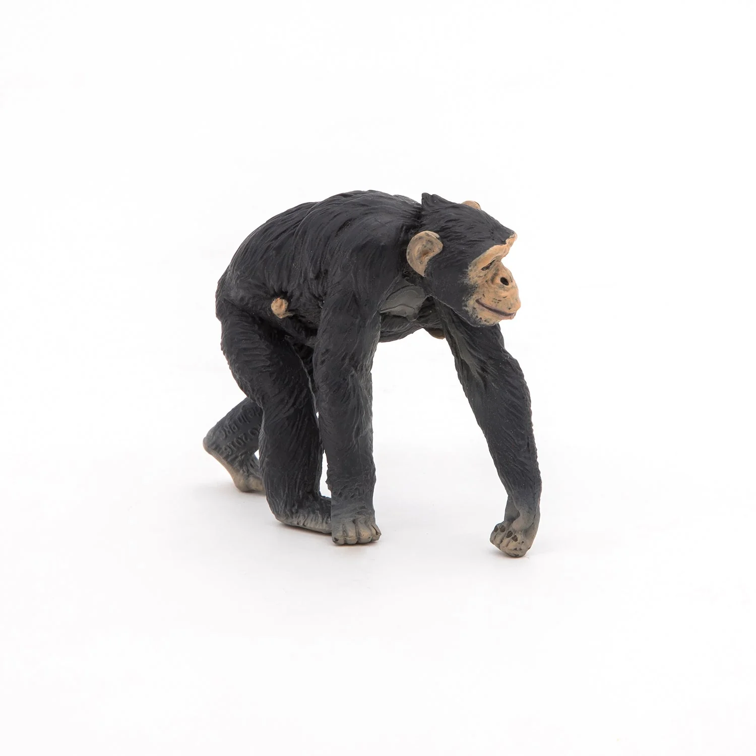 Chimpansee met haar baby - Image 4