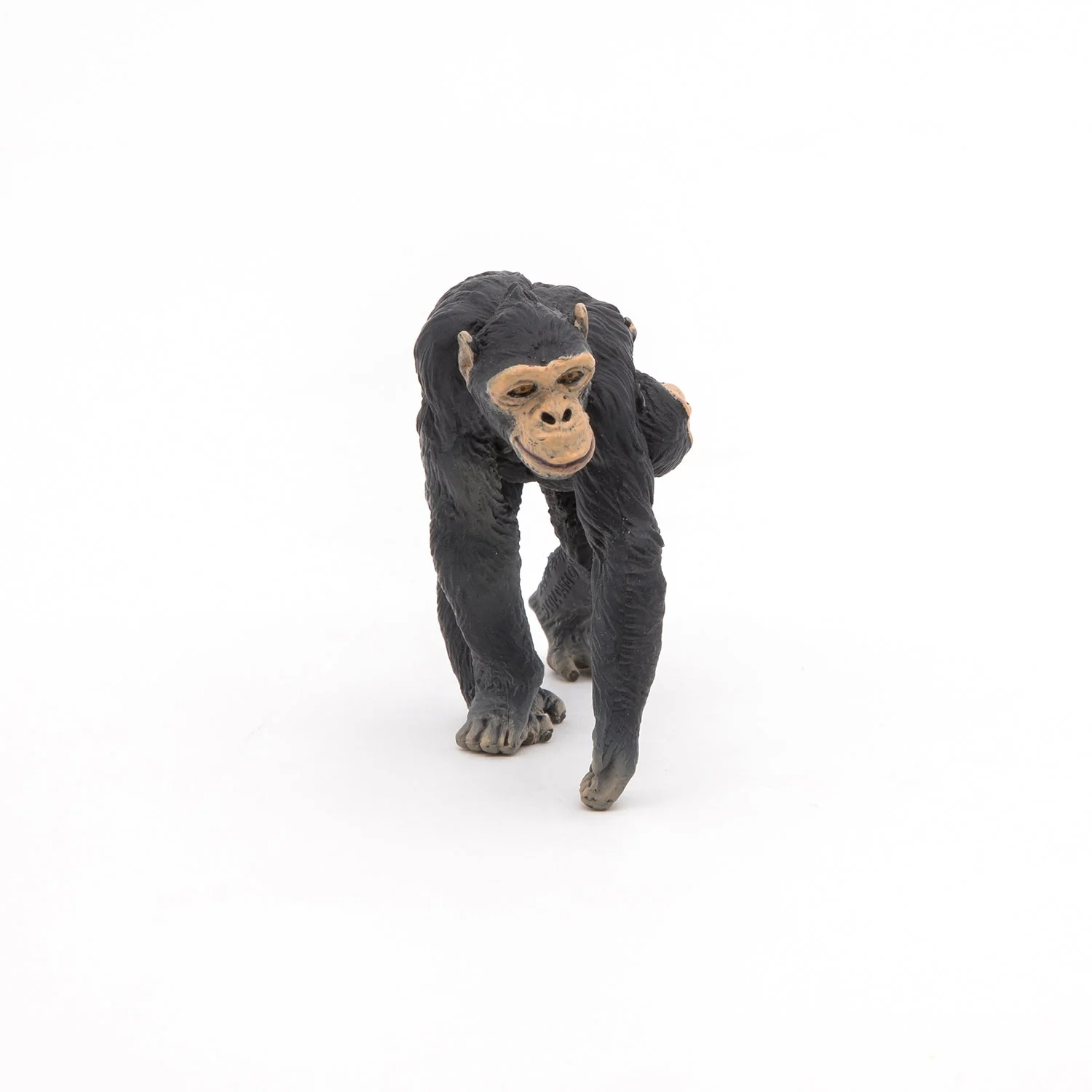 Chimpansee met haar baby - Image 5