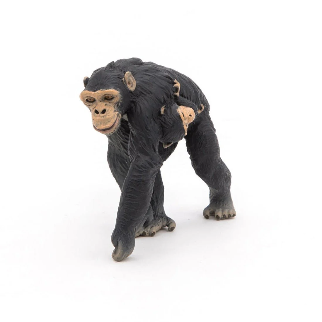 Chimpansee met haar baby - Image 6