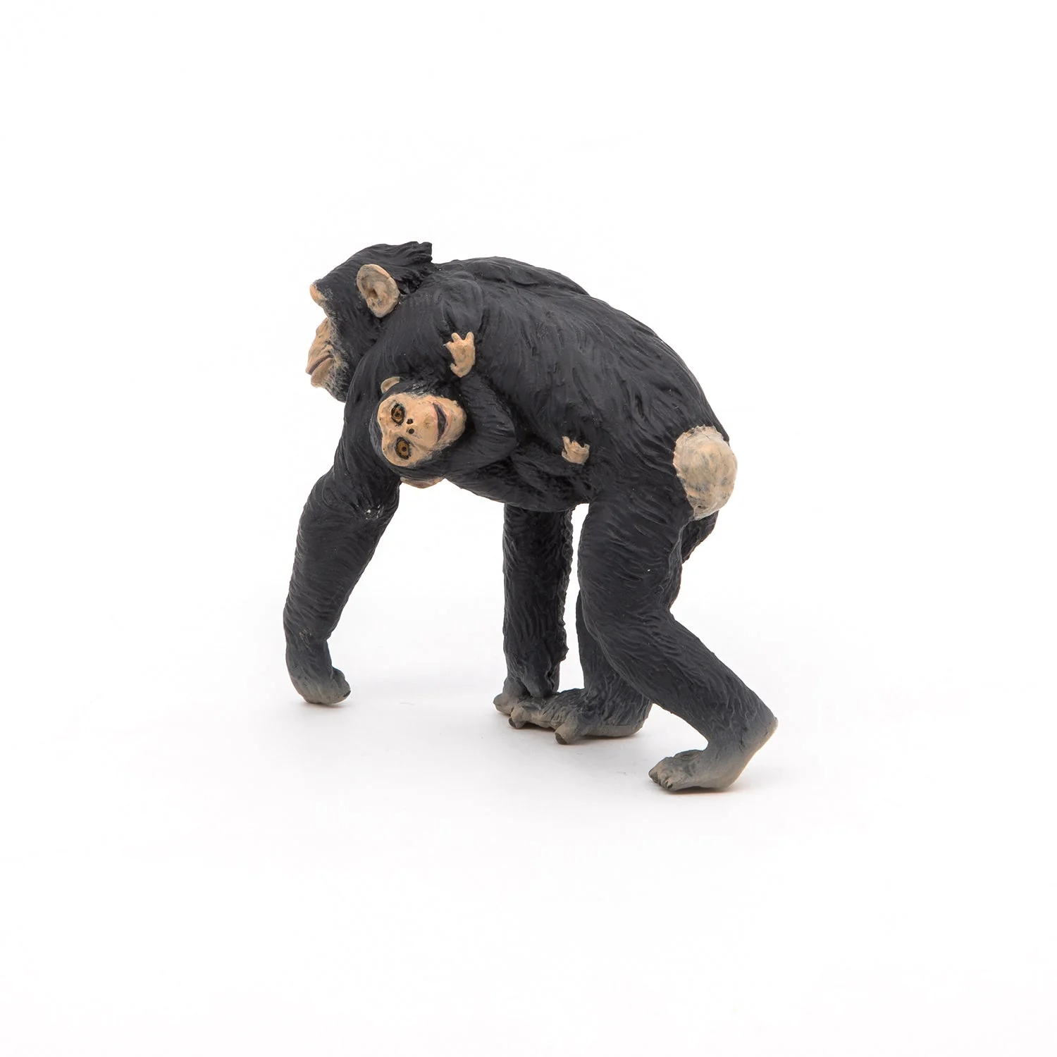 Chimpansee met haar baby - Image 7