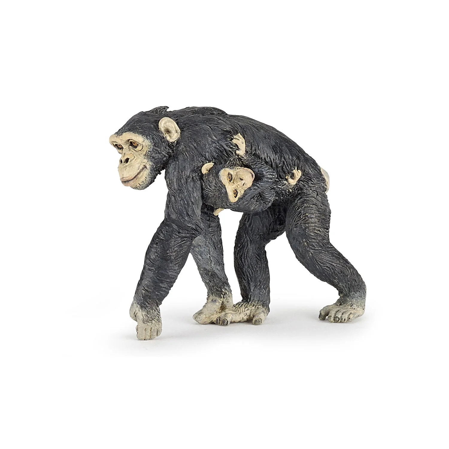 Chimpansee met haar baby - Image 8