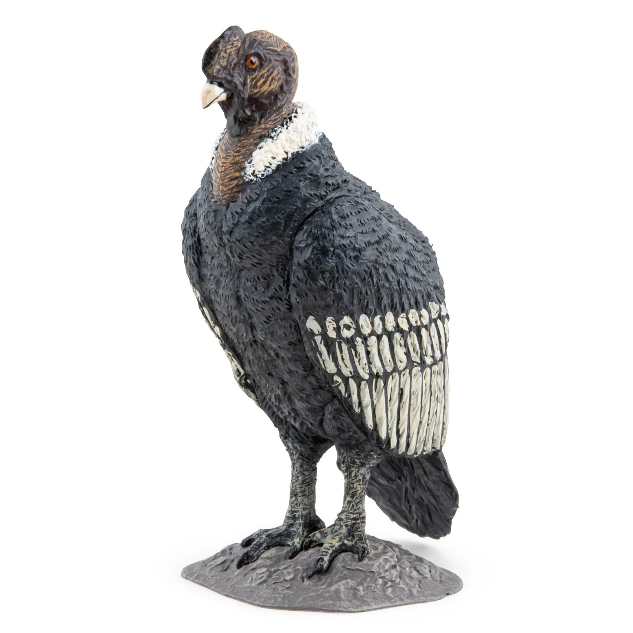 Condor - Image 2