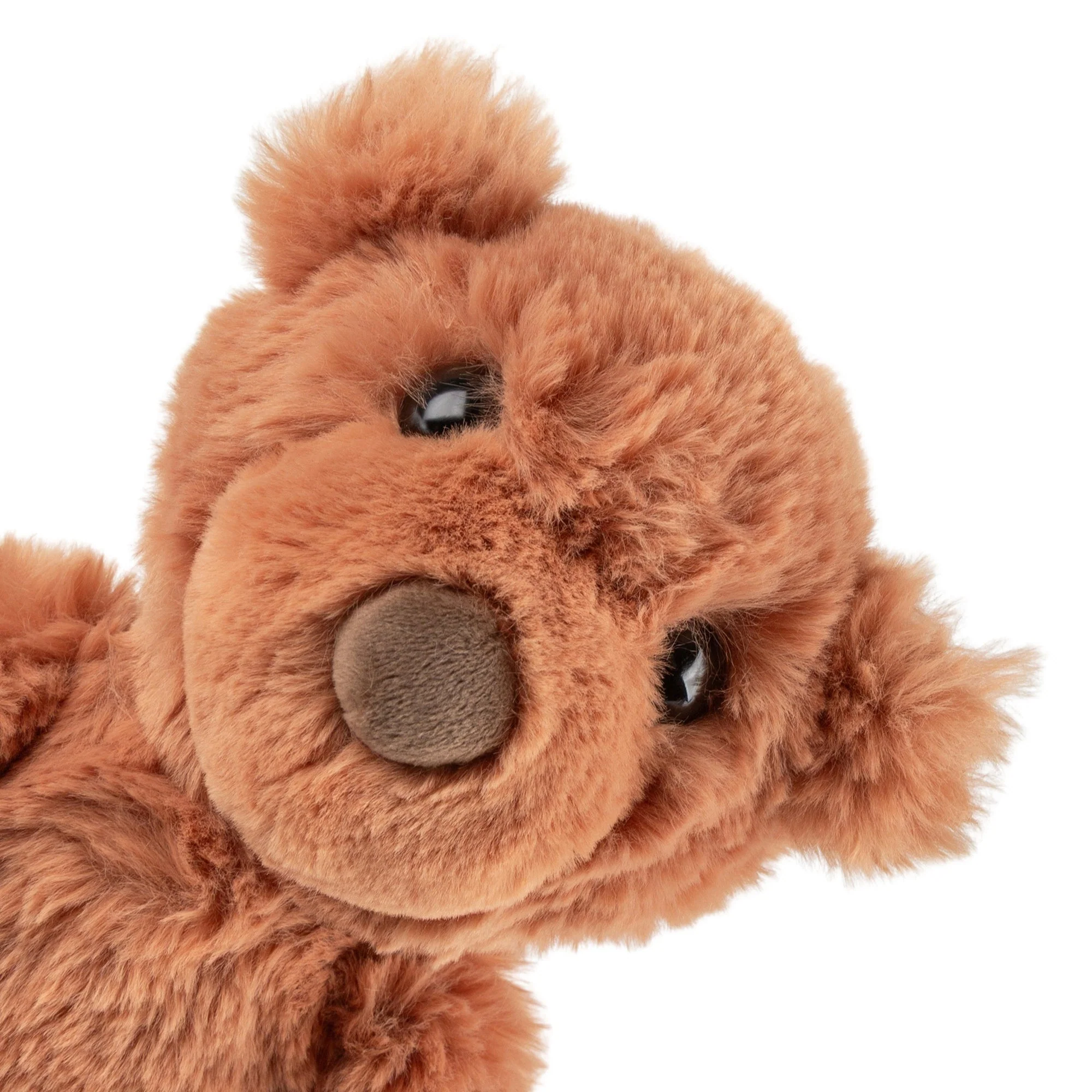 Knuffel Bruine Beer - 25 cm - Image 2