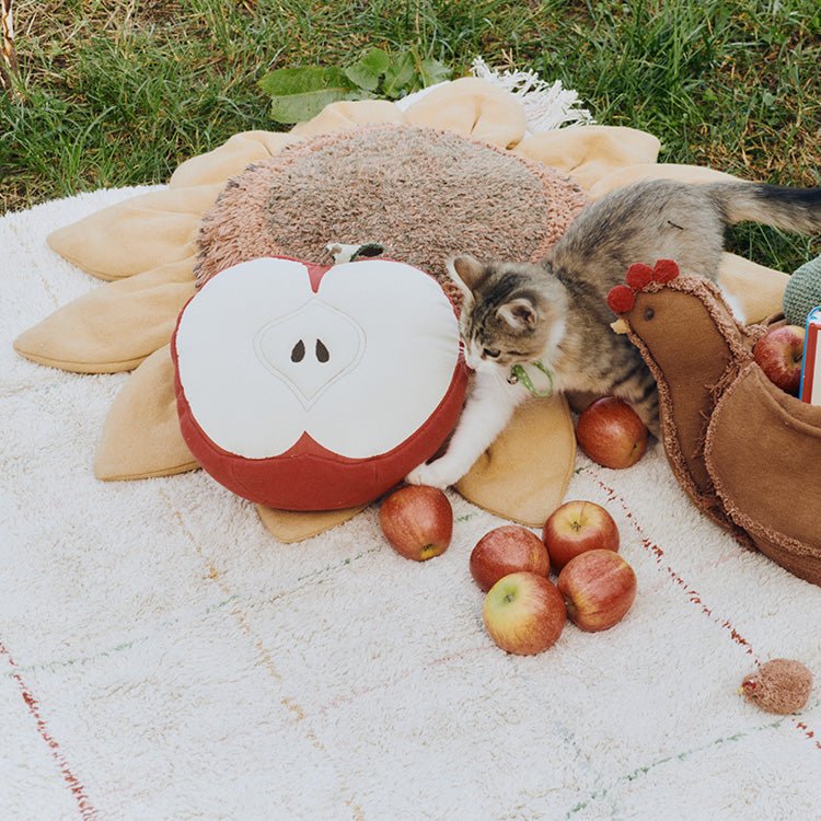 Kussen Appel - 30 x 30 cm - Image 3