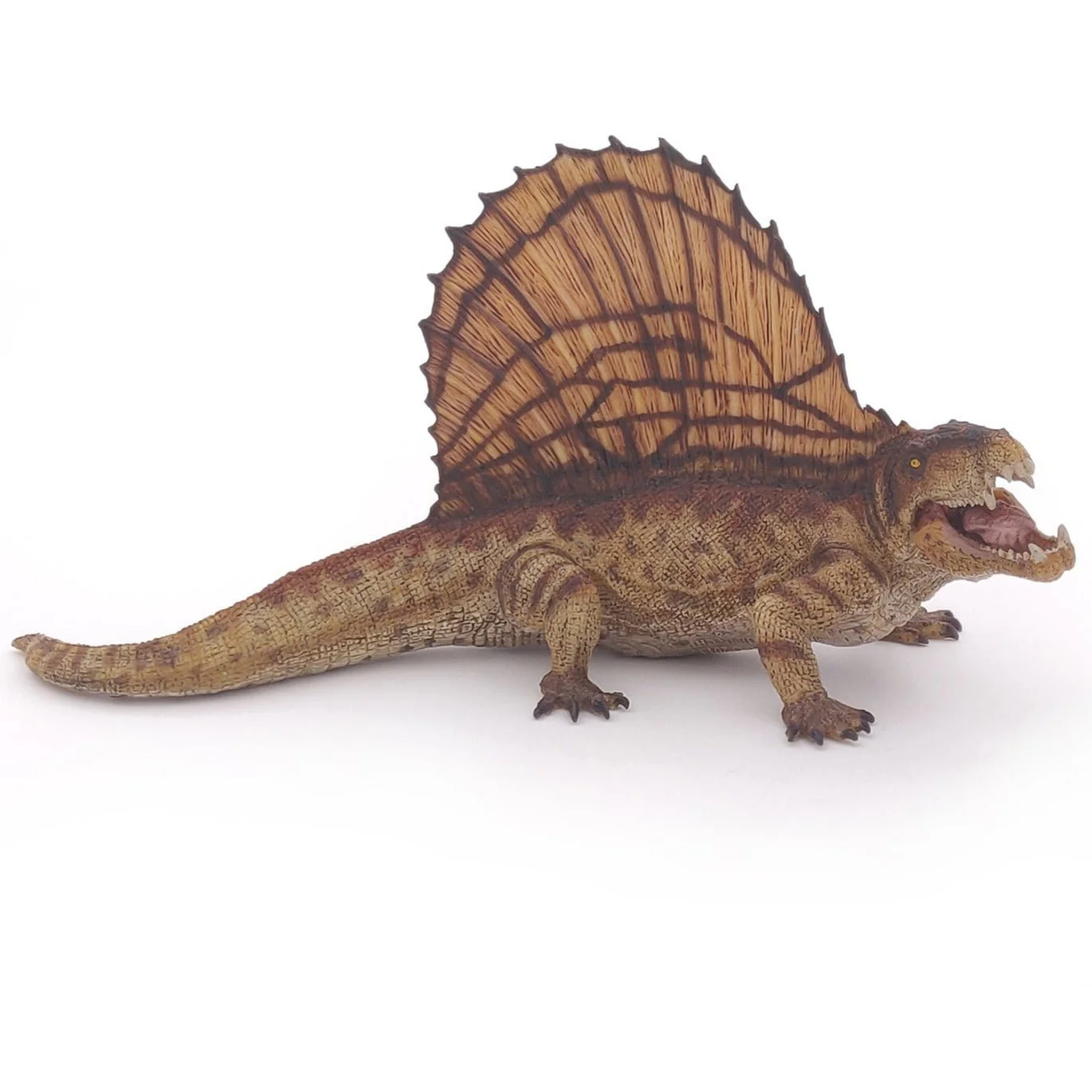 Dimetrodon