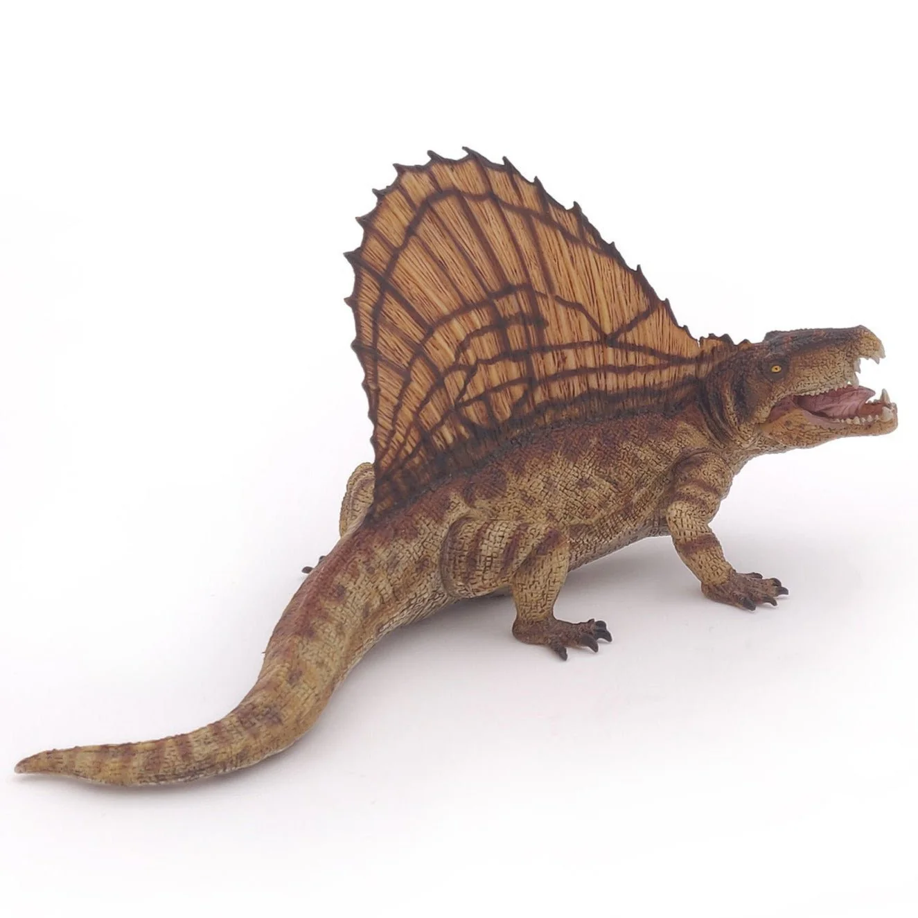 Dimetrodon - Image 2