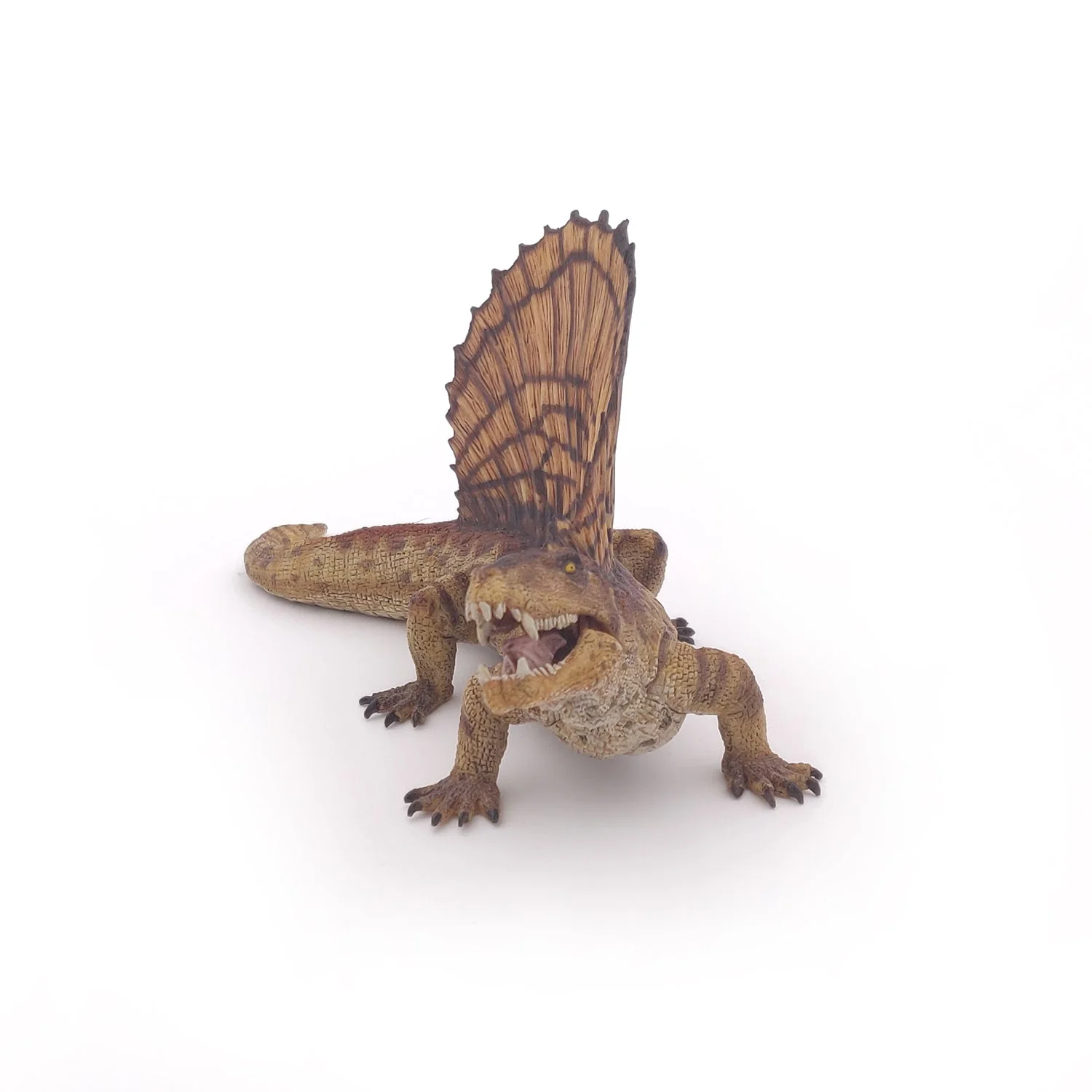 Dimetrodon - Image 3