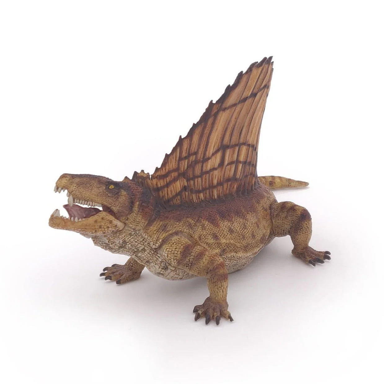 Dimetrodon - Image 4