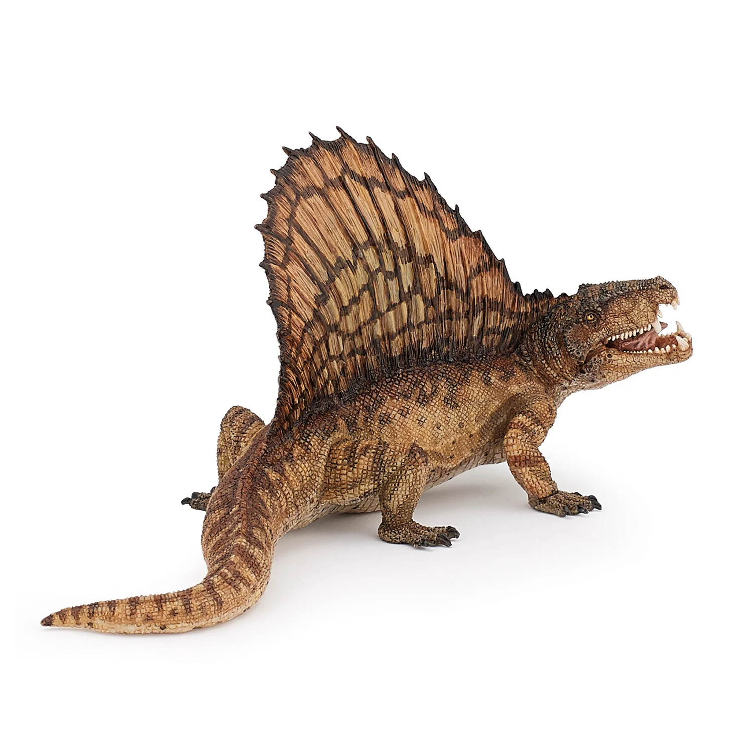 Dimetrodon - Image 5