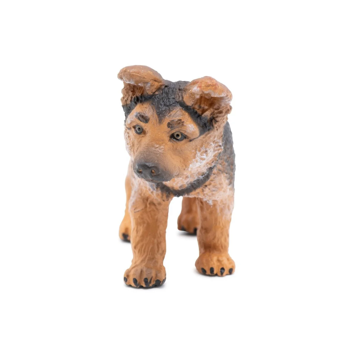 Duitse Herder Pup - Image 2