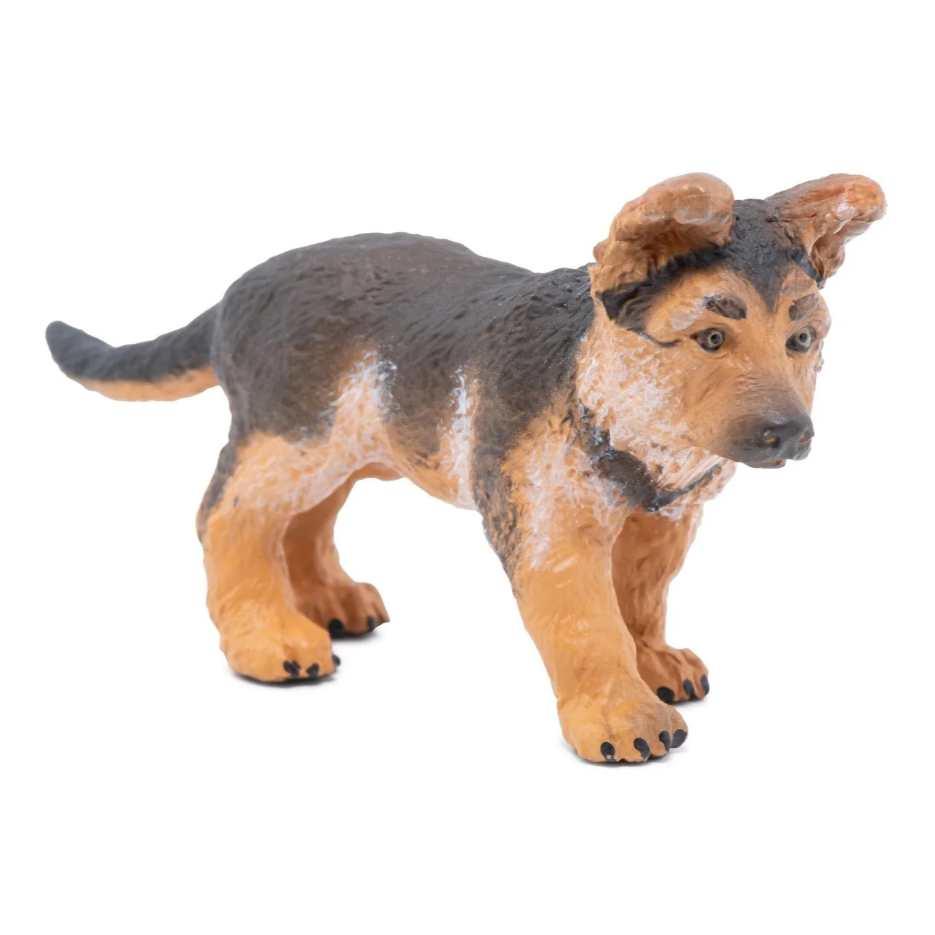 Duitse Herder Pup - Image 3