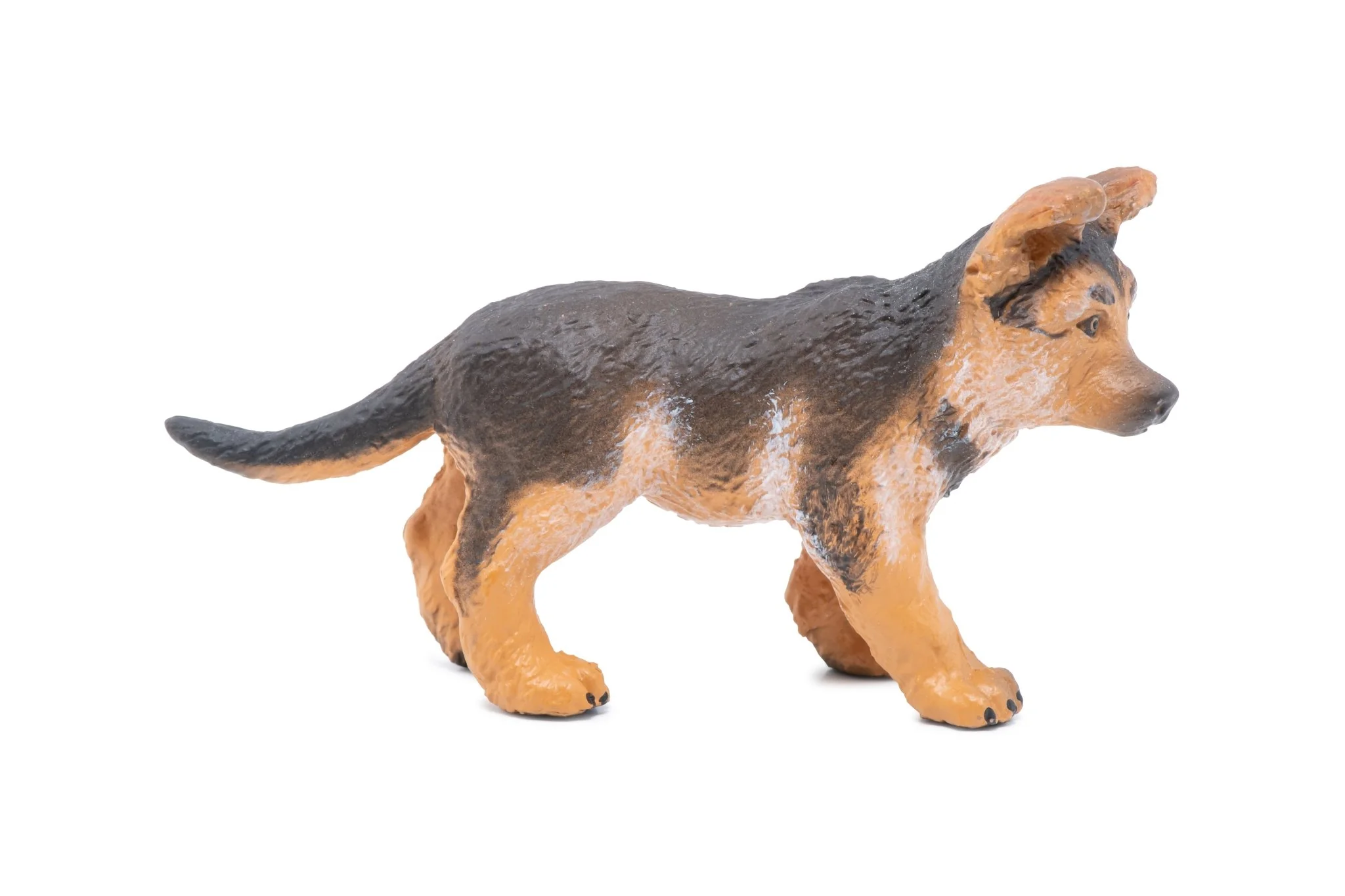 Duitse Herder Pup - Image 4