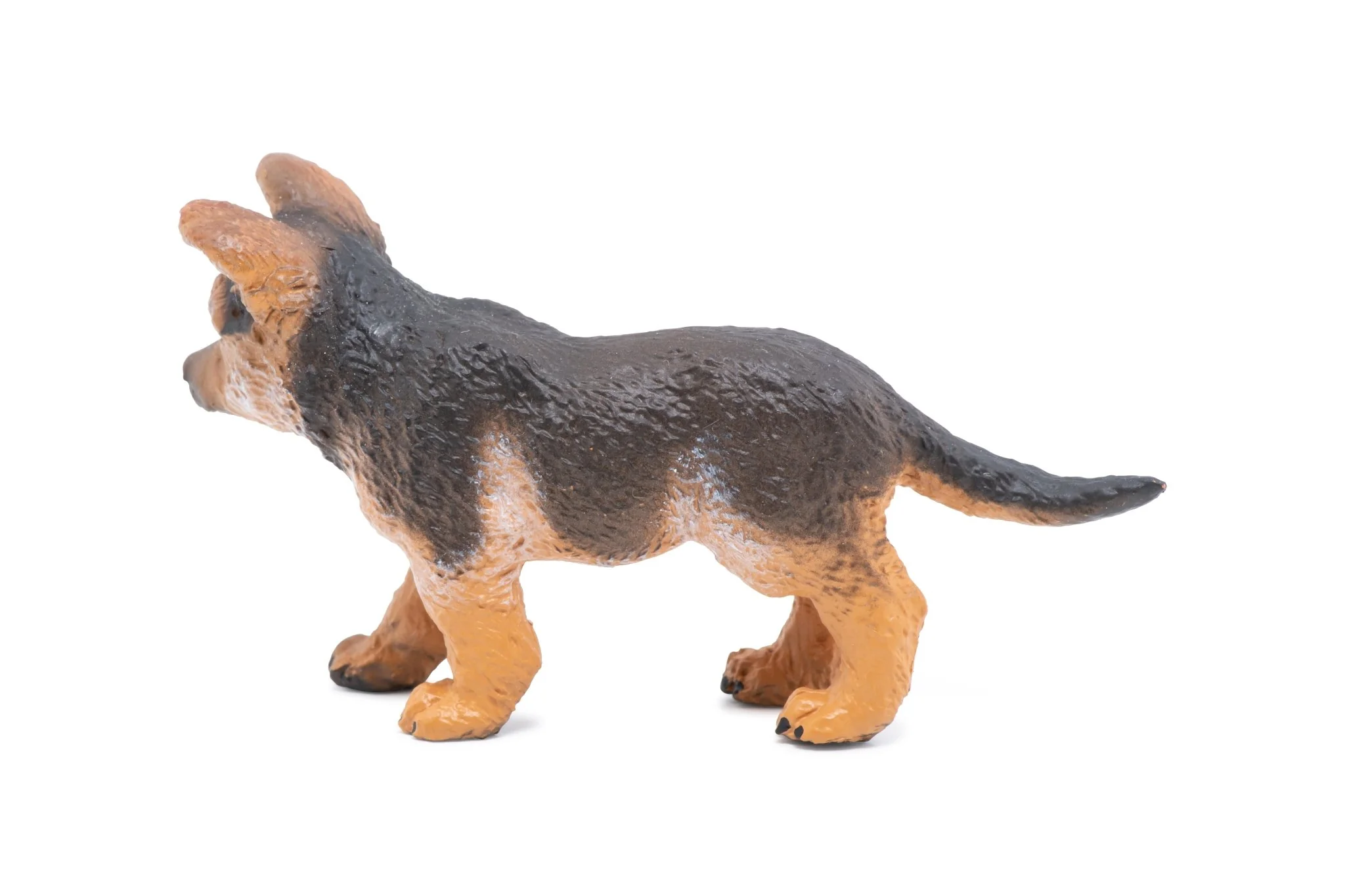 Duitse Herder Pup - Image 5