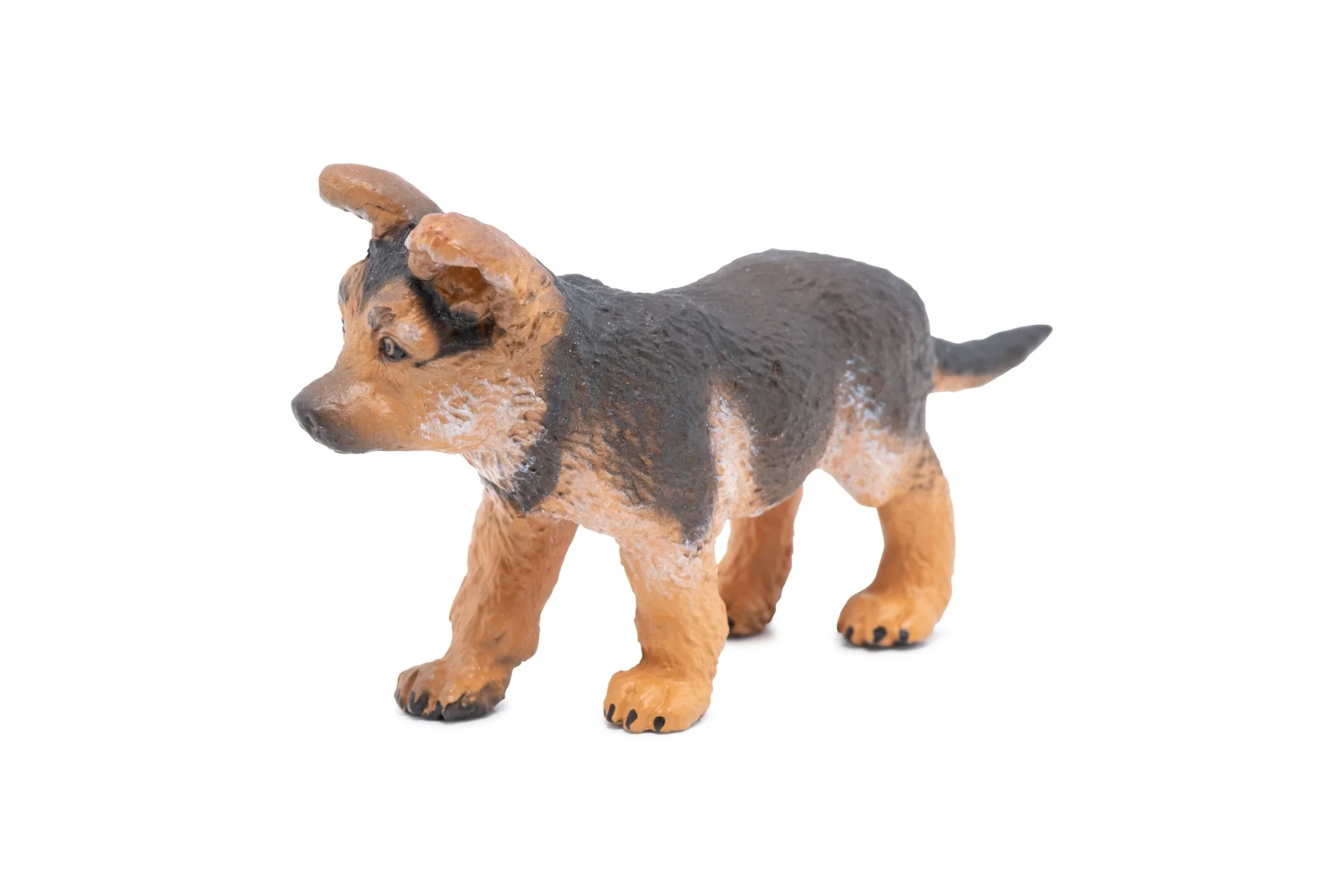 Duitse Herder Pup - Image 7