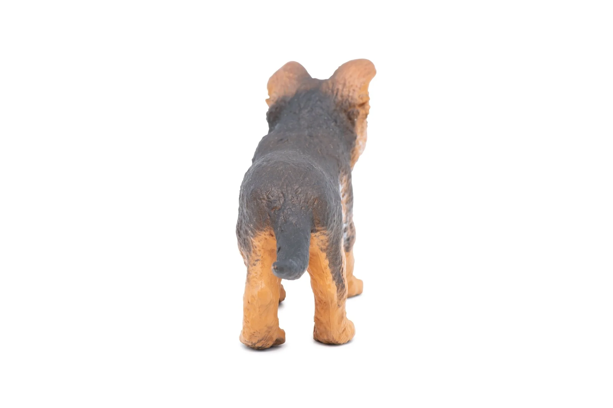 Duitse Herder Pup - Image 8