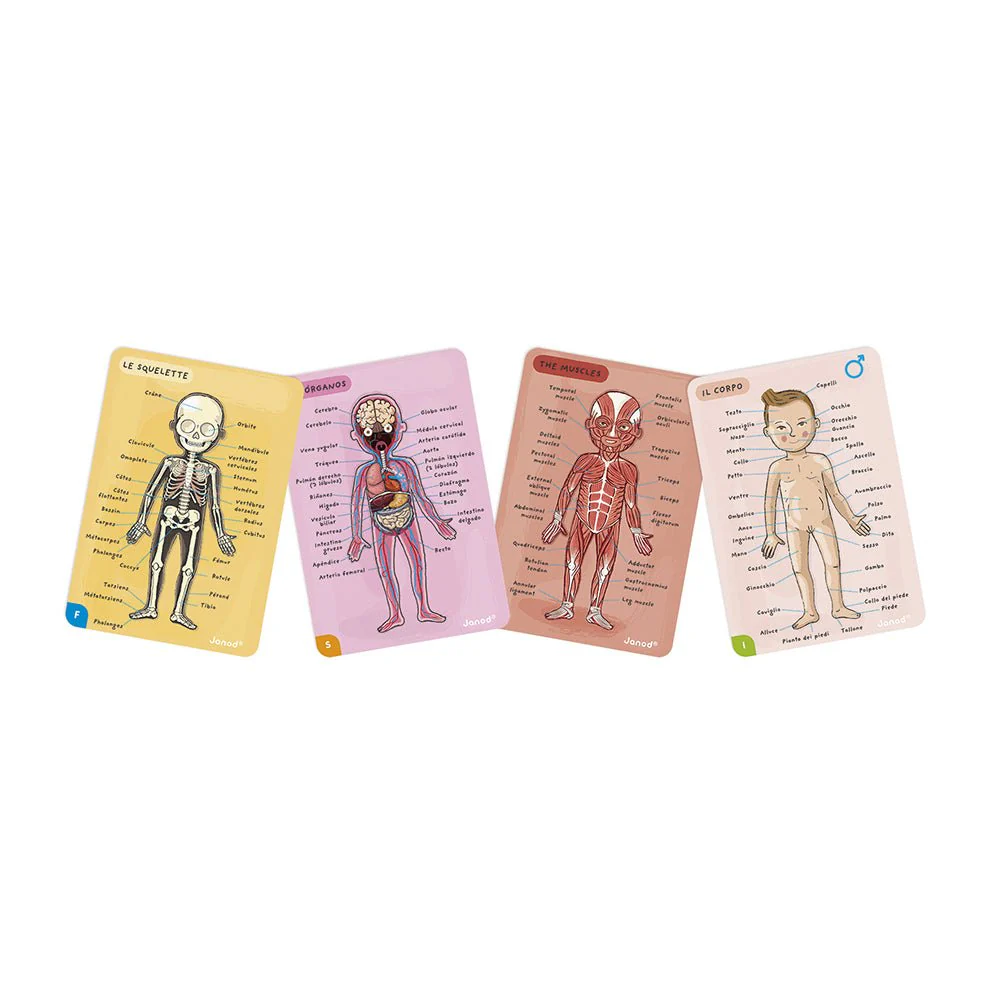 Educatief Magnetisch Spel Bodymagnet - 12 Talen - Image 11