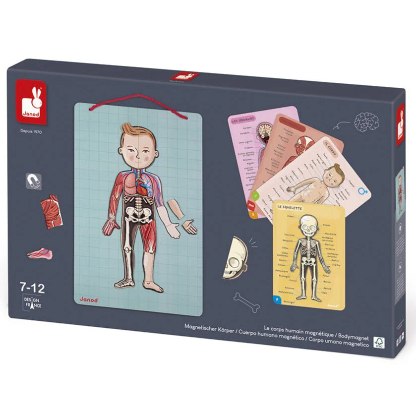 Educatief Magnetisch Spel Bodymagnet - 12 Talen - Image 2