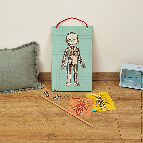 Educatief Magnetisch Spel Bodymagnet - 12 Talen - Image 3