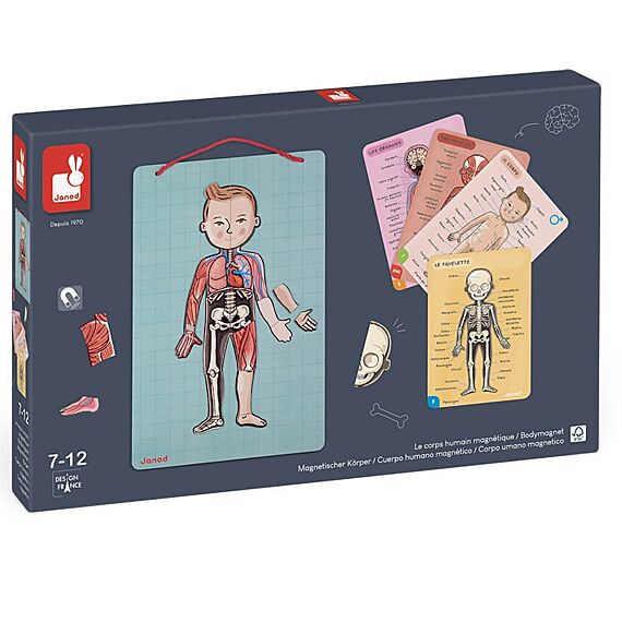 Educatief Magnetisch Spel Bodymagnet - 12 Talen - Image 4