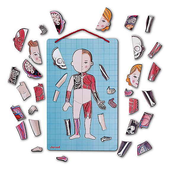 Educatief Magnetisch Spel Bodymagnet - 12 Talen - Image 6
