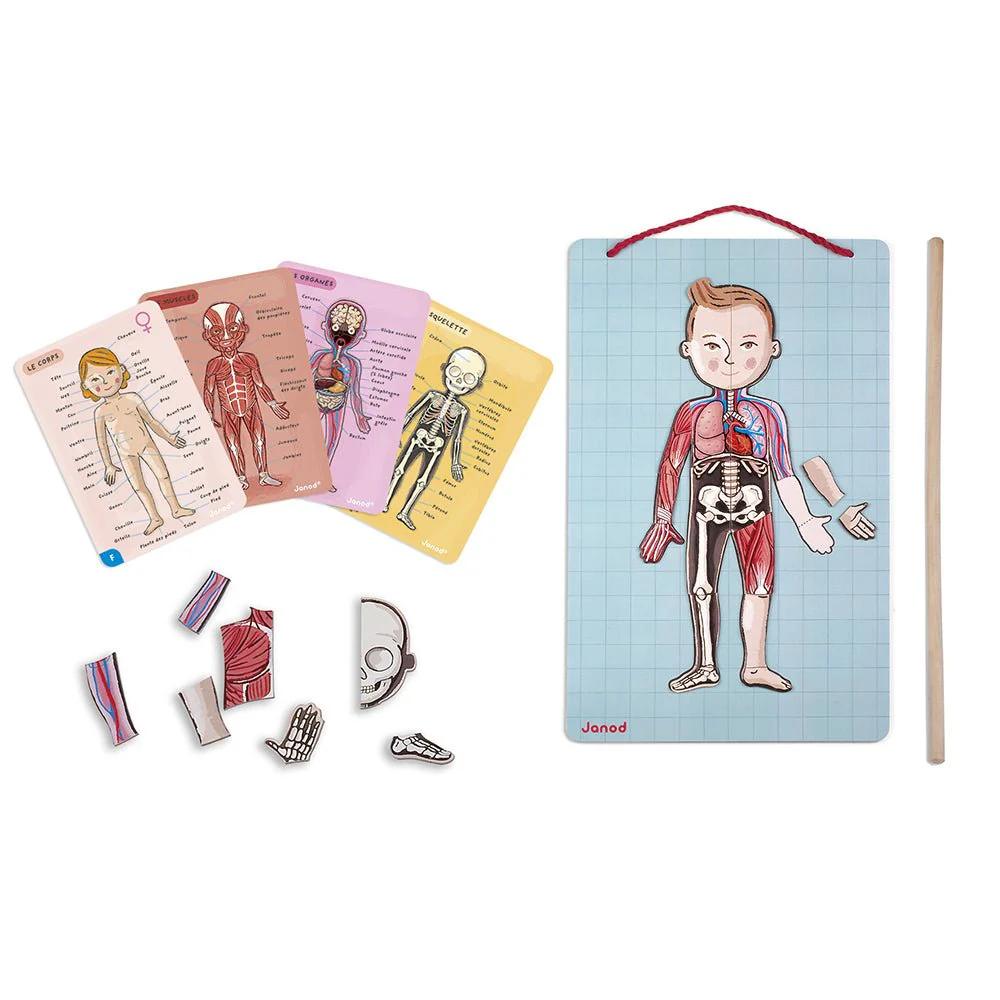 Educatief Magnetisch Spel Bodymagnet - 12 Talen - Image 7