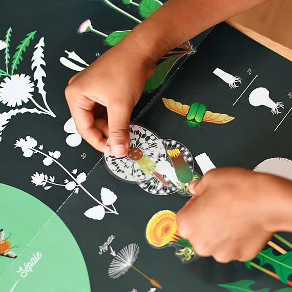 Educatieve Xxl Poster + 51 Stickers Botanic - 7-12 Jaar - Image 11