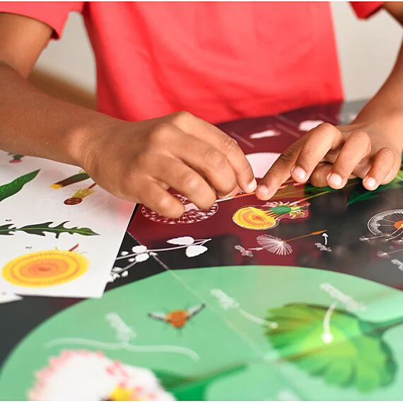 Educatieve Xxl Poster + 51 Stickers Botanic - 7-12 Jaar - Image 12