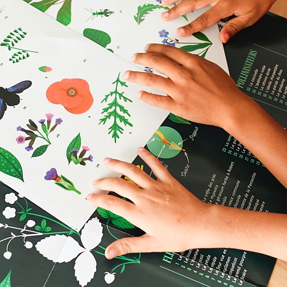 Educatieve Xxl Poster + 51 Stickers Botanic - 7-12 Jaar - Image 16