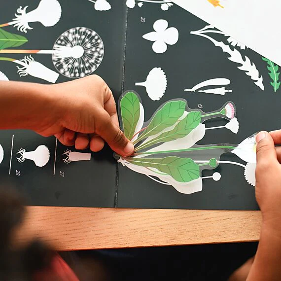 Educatieve Xxl Poster + 51 Stickers Botanic - 7-12 Jaar - Image 18