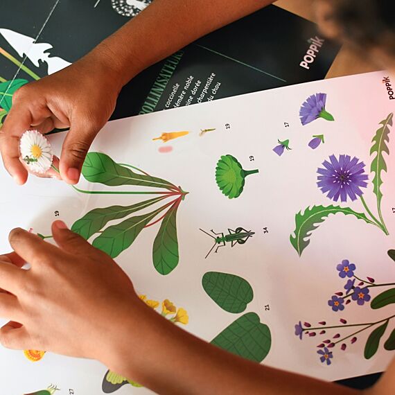 Educatieve Xxl Poster + 51 Stickers Botanic - 7-12 Jaar - Image 19