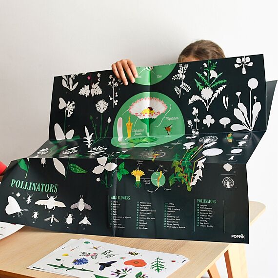 Educatieve Xxl Poster + 51 Stickers Botanic - 7-12 Jaar - Image 3