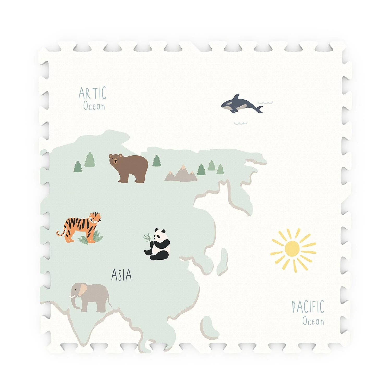 Speelmat EEVAA 3-in-1 – Worldmap Colour Design - Image 11
