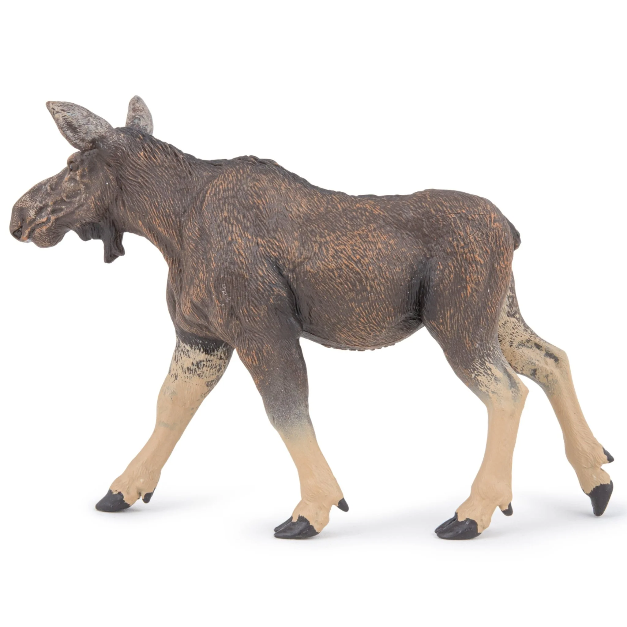Eland vrouwtje - Image 3