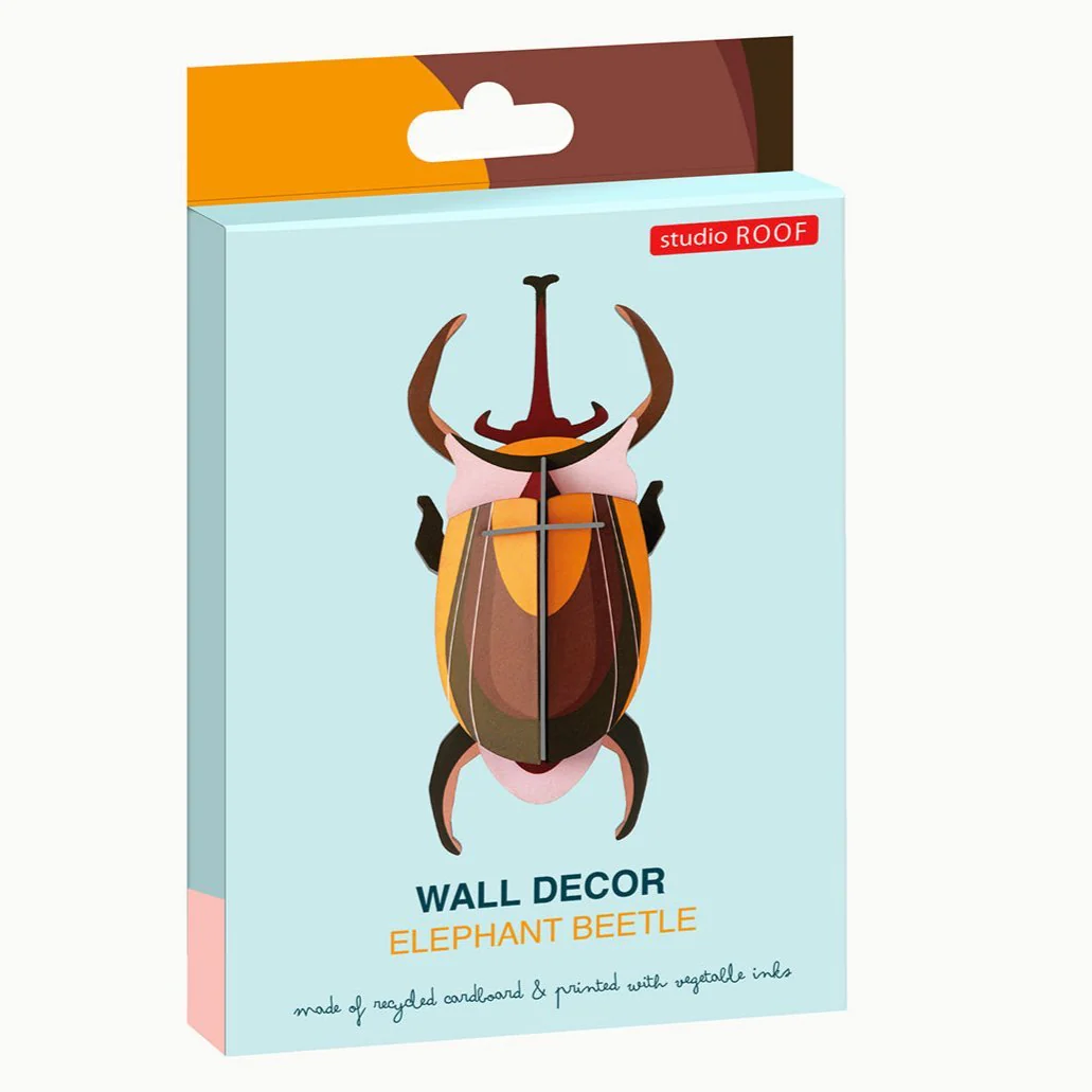 Elephant Beetle - Image 5