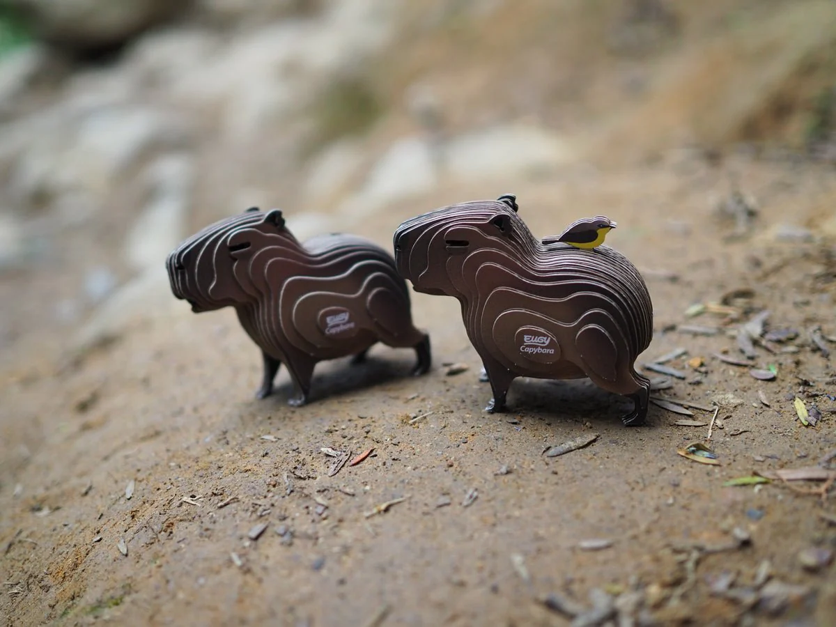3D puzzel - Capibara - Image 7