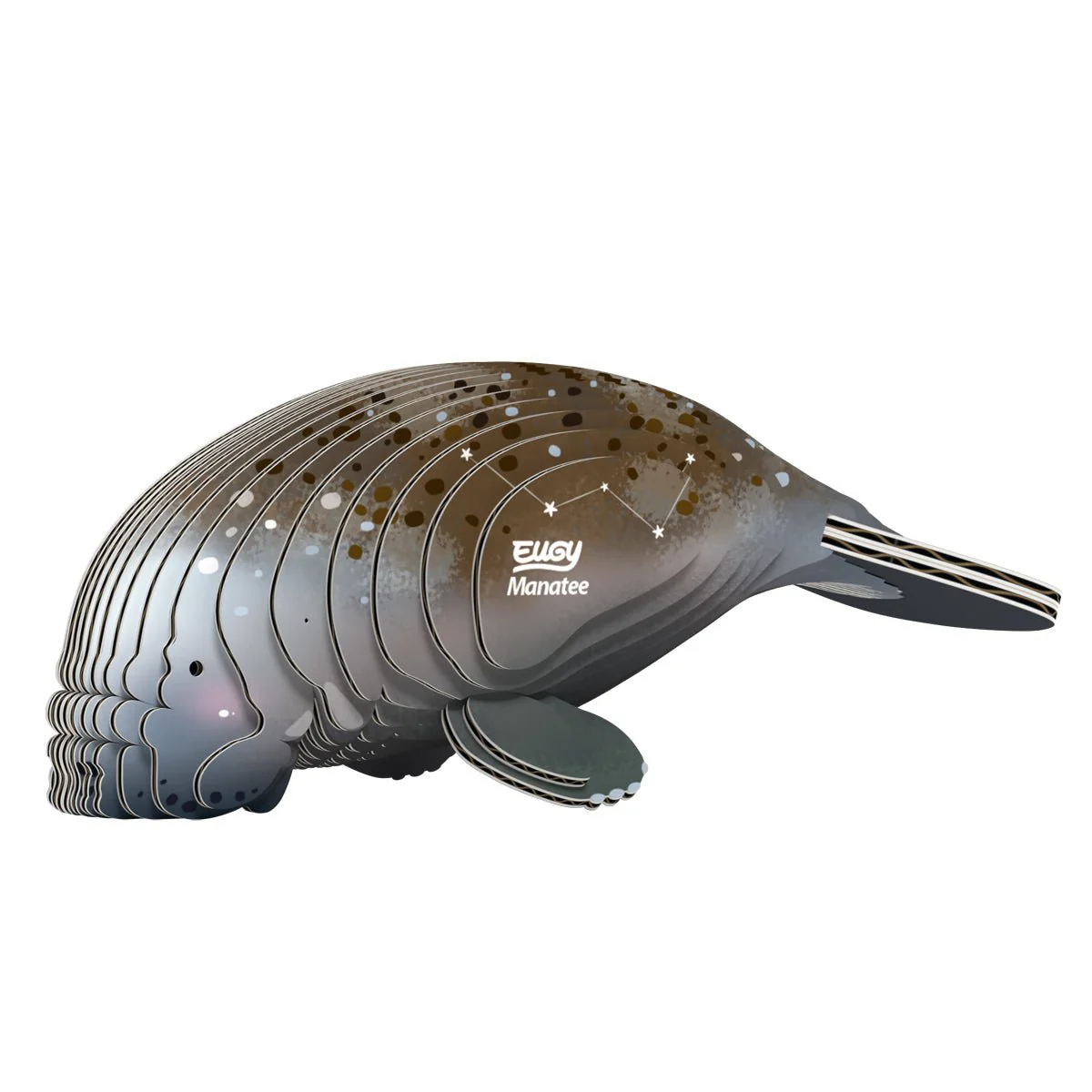 3D puzzel - Zeekoe