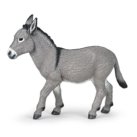 Ezel Van De Provence - Image 2