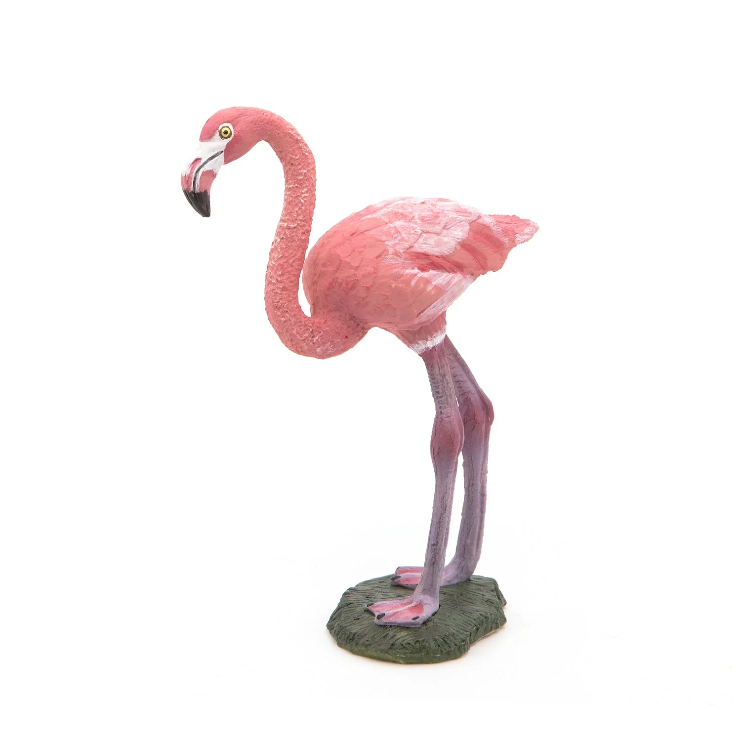 Flamingo - Image 3