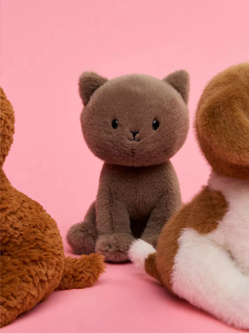 Knuffel Kat Freddy the British Shorthair in giftbox ECO - 18 cm - Image 2