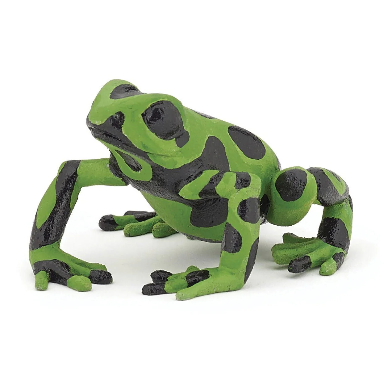 Groene equatoriale kikker