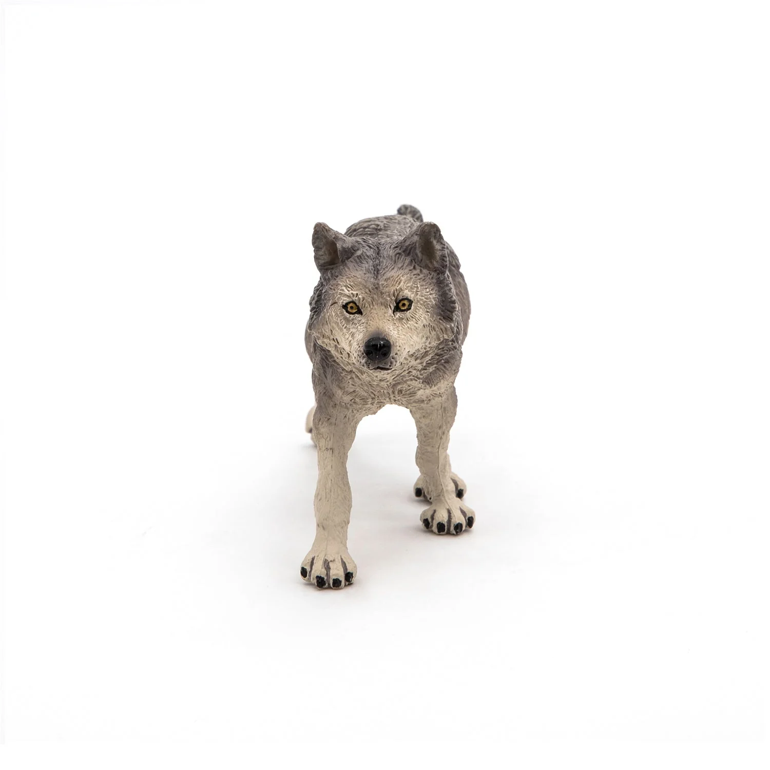 Grijze Wolf - Image 3