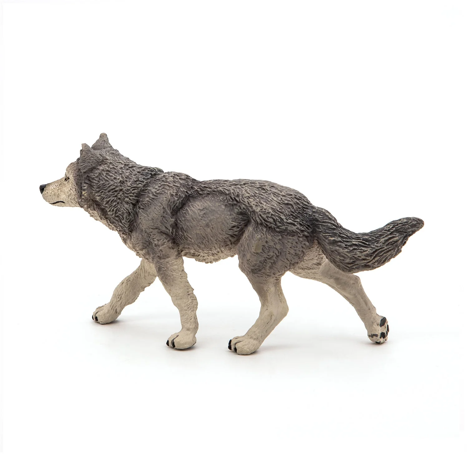 Grijze Wolf - Image 4