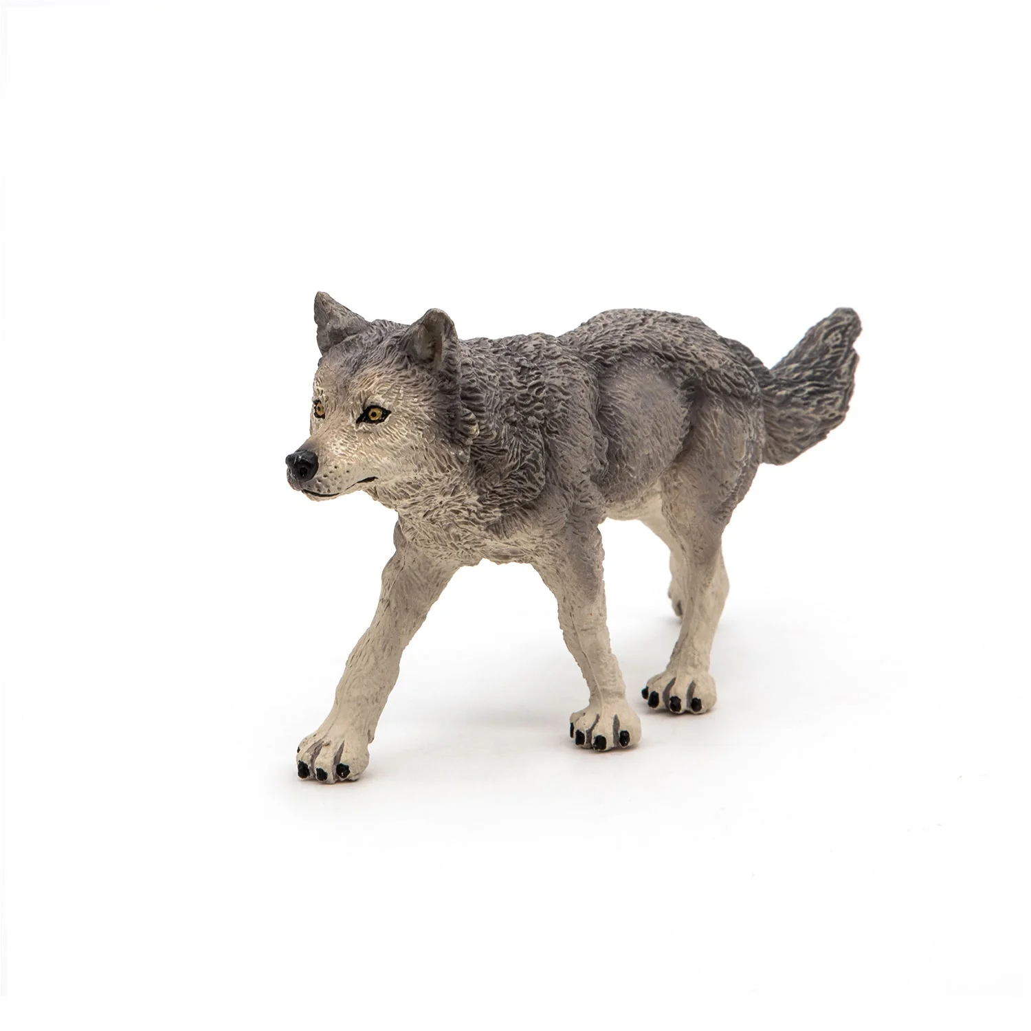 Grijze Wolf - Image 6